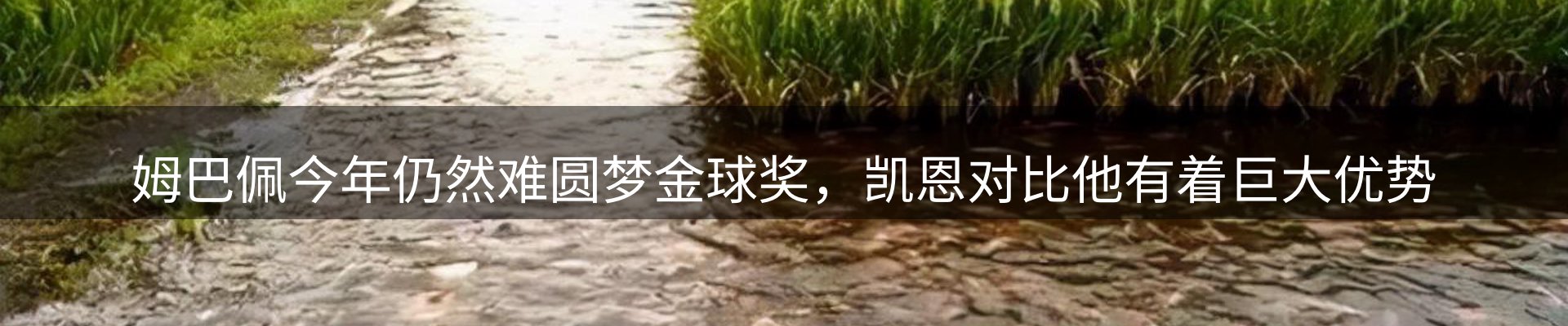 新闻消息