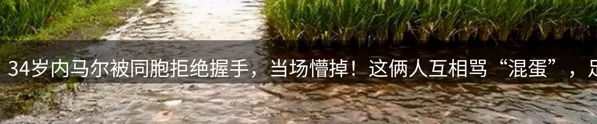 赛事资讯